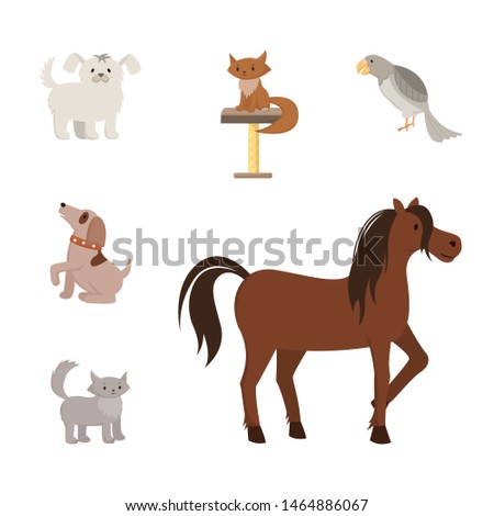 Domestic animals flat vector illustrations set. Cartoon toy dogs, purebred pets, mongrel cats, puppies. Exotic bird, grey parrot and strong horse, stallion, mare with beautiful mane hair