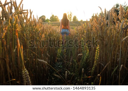 Leading lines and trail in the cereal field. Charming portrait of a red-haired girl from the back. Epic and mystic composition like in anime cartoon. Latvian countryside Latvian farmlands. Lucid dream Royalty-Free Stock Photo #1464893135