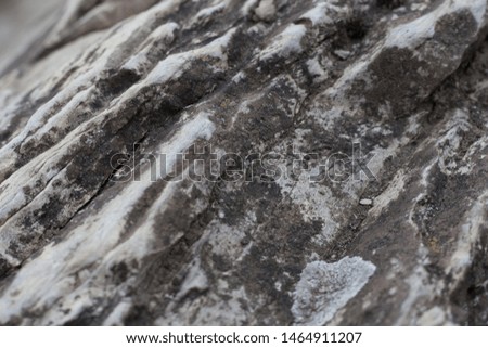Natural eco-friendly rocky texture for the background