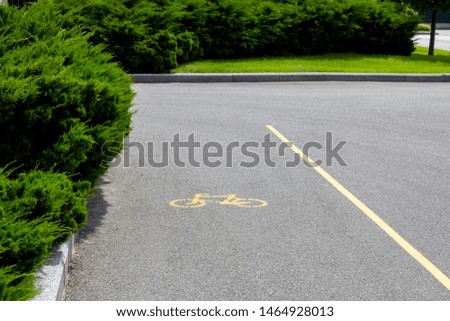 bike path with markings and bicycle symbol in the park with green thujas and lawn in sunny summer days nobody.