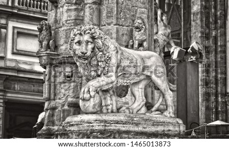 One of the Medici lions. The sculpture depicts standing male lion with a sphere or ball under one paw, looking to the side. Black White Photography. Florence. Italy. 