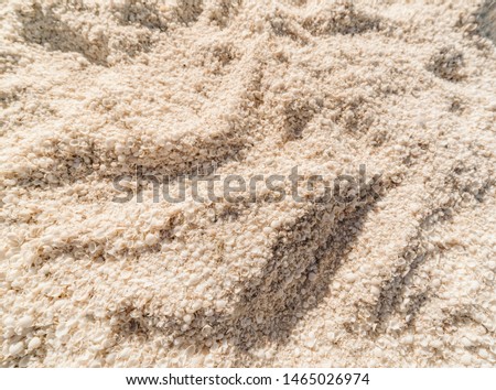 A shelly beach in a sunny day. A perfect picture if you want space for type in your composite or if you are looking for a beach pattern.