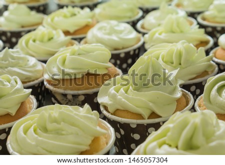 homemade green cream cupcake on wood table top.