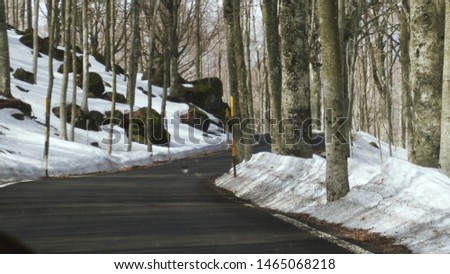 View of the road in the middle of the forest in the mountain, in italy, winter season with trees in the background and snow on the sides of the road, picture taken from inside a vehicle.