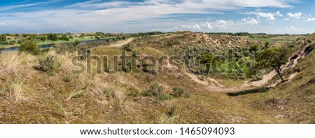 Panorama view in the dunes of the Netherlands - Amsterdamse waterleidingduinen