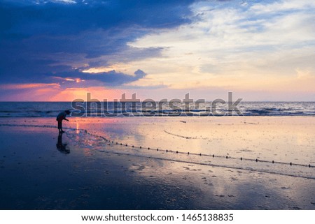 An asian woman catching saltwater fish by using the fishing net on the beach at dusk, dramatic sunset sky in the backgrounds.