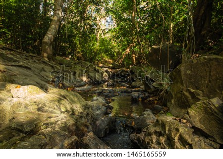 Ton Aow Yon Waterfall rich natural resources,in the forest,asia tropical areaat Island Phuket Thailand.