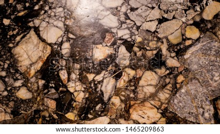 marble background.  Italy Rome Church of San Pietro