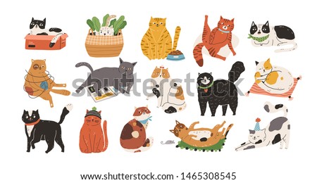 Bundle of adorable cats sleeping, stretching itself, playing with ball of yarn, hiding in box or basket. Set of purebred pet animals isolated on white background. Flat cartoon vector illustration. Royalty-Free Stock Photo #1465308545