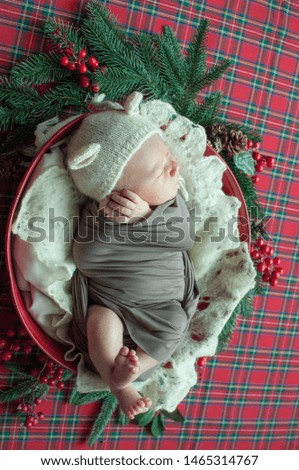 Cute little baby boy in a teddy hat in a Christmas basket decorated with pine needles and red berries on a red checkered plaid