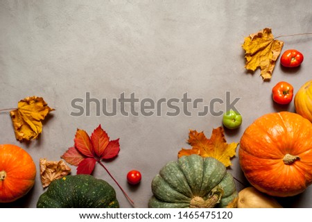 Top view - Orange, green and yellow pumpkins with fall leafs and vegetables on old textured background. Happy autumn time, free space for design