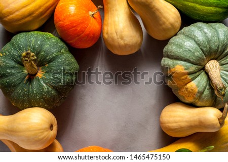 Happy autumn time. Green, orange and yellow pumpkins on old textured background. Free space for design