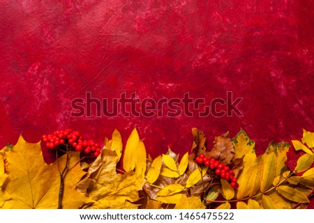 Orange and yellow fall leafs. Happy autumn time. Flat lay, free space for design