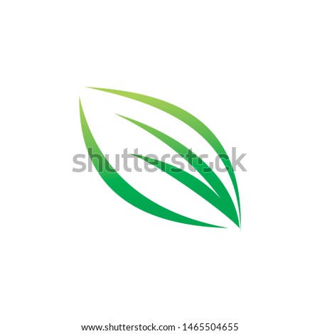 nature leaf line art logo design