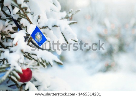 New Hampshire flag. Christmas tree branch with a flag of New Hampshire state. Xmas holidays greetings card. Winter landscape outdoors.