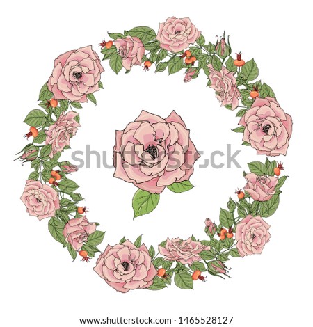Wreath of pink roses, buds and berries, vector