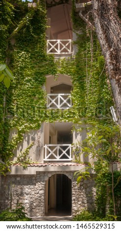 ivy covered facade with balconies