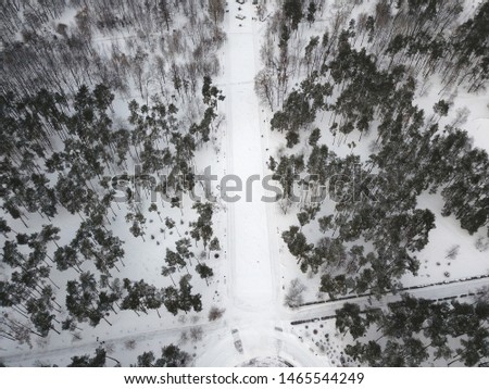 Aerial view. Snow covered trees and bush in the park. Snow lies on the branches of trees.