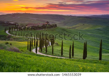 Impressive spring landscape,view with cypresses and vineyards ,Tuscany,Italy Royalty-Free Stock Photo #1465553039