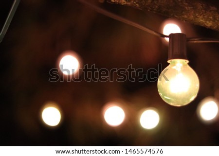 Holiday lights on a pine tree at the beach