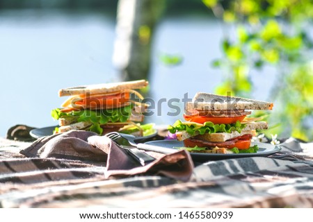 Picnic with sandwiches in park or forest. Toast bread, cheese, ham, sausage, tomatoes, salad leaves. Weekend party, sunny day
