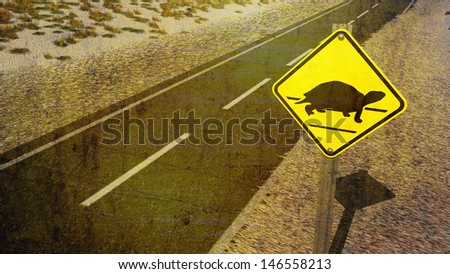 Turtle Crossing Sign on Lonely Empty Road with Grass