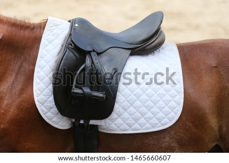 Beautiful handmade dressage horse riding saddle with girth, stirrup on saddle pad on the racetrack
