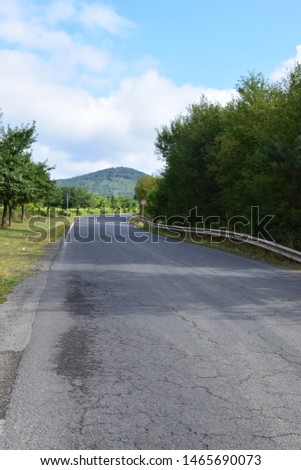 small rural avenue in summer