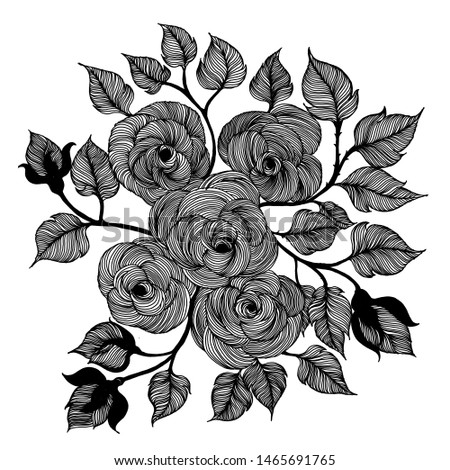 rose beautiful art sketch drawing tattoo