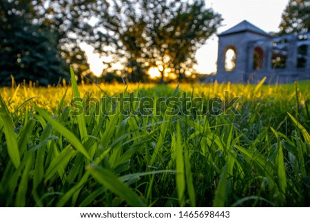 grass of a little castle in a montain with a beatiful sunset and trees