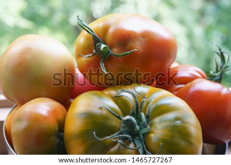 Fresh bright crop of tomatoes in plate in sunny summer day. Top view / view from above. High resolution photography. Photo is suitable for greeting card design, poster, leaflet, postcard template.
