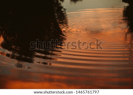 Reflections of clouds and trees in water at sunset