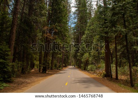 Yosemite National Park: Bicycle trailhead heading to Mirror Lake