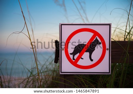 No dogs allowed sign on a wooden fence at the entrance to beach. Dog prohibition. Ocean beach and blue sky on background 