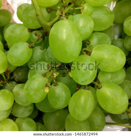 Macro Photo food green grapes berries. Texture pattern background of round green grapes berries. Image fresh berries fruit white grapes on branch