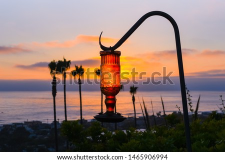 Picture of vase in the sunset San Diego, CA