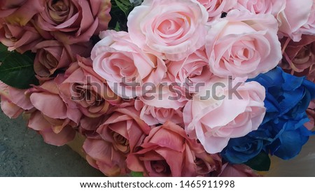 multicolored flower varieties background image