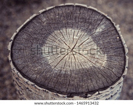 Natural fire wood log covered in bark and cracked from being weathered stacked around as stools for an outdoor backyard firepit