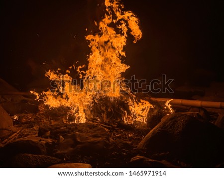 Pictures of bamboo fire appearing in various forms of flames.