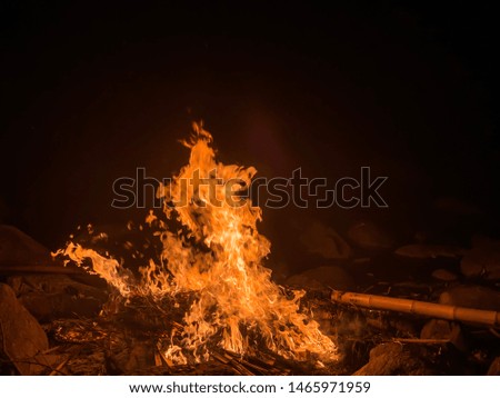 Pictures of bamboo fire appearing in various forms of flames.