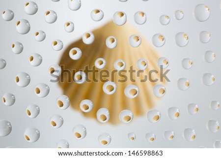 water drops picturing sea shell  