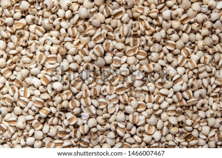 Picture of millet or job’s tears is cereal and is food because it is used to advertise food.