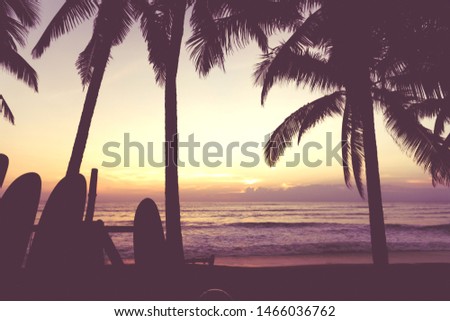 Silhouette surfboards beside coconut trees at summer beach with sun light and blue sky background.