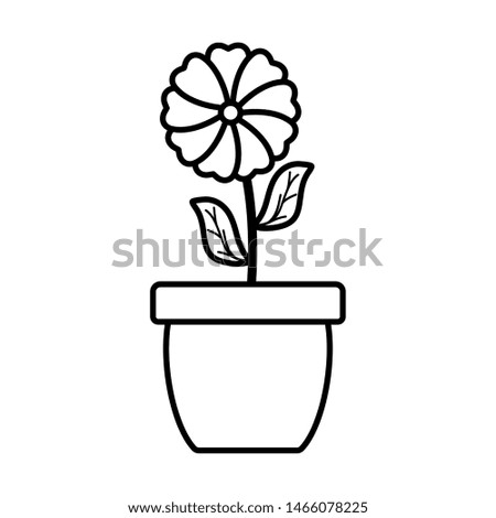 cute flower and leafs plant in ceramic pot