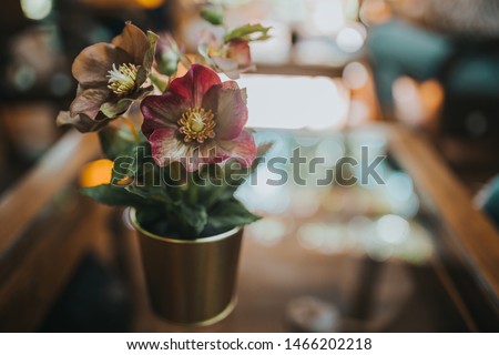 Flower vase on the table in the living room.