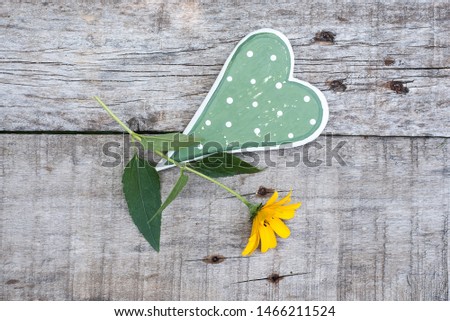 Yellow flower on a wooden background
