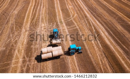 erial view modern agricultural equipment , machinery, tractor  harvests wheat field. seasonal works. drone shot. picture with space for text. Farmland from above