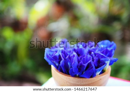 Soft and selective focused picture of blue pea or butterfly pea in a wooden cup in garden corner with blurred bokeh background. This plant flowers are in blue and so beautiful, they are also edible