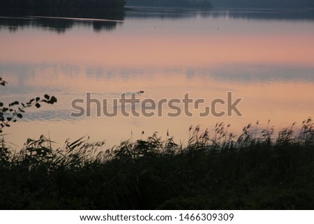 Beautiful sunrise on the lake. Ukraine. Can be used as background.