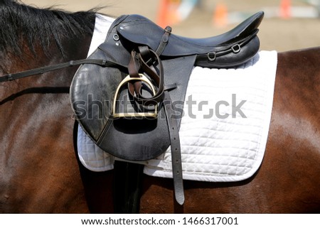 Beautiful handmade dressage horse riding saddle with girth, stirrup on saddle pad on the racetrack
